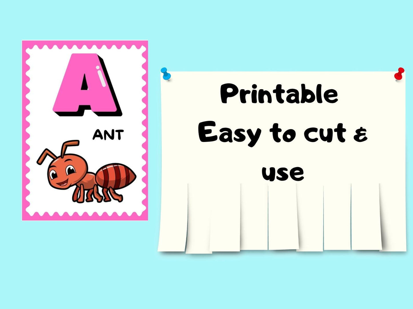 Alphabet | Verb Flash Cards | Instant Download